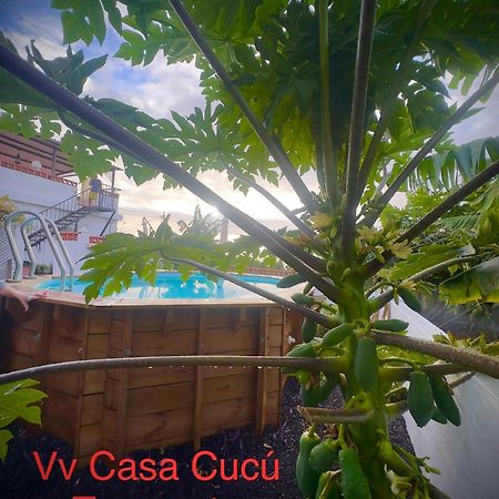 Casa Cucu Villa Tazacorte Exteriör bild